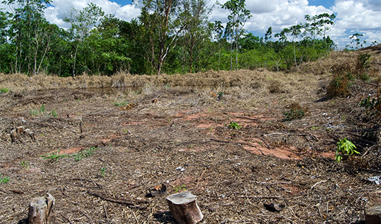 Você está visualizando atualmente Proprietário de fazenda pagará mais de R$ 2 milhões de multa por queimadas (17/11/2021)