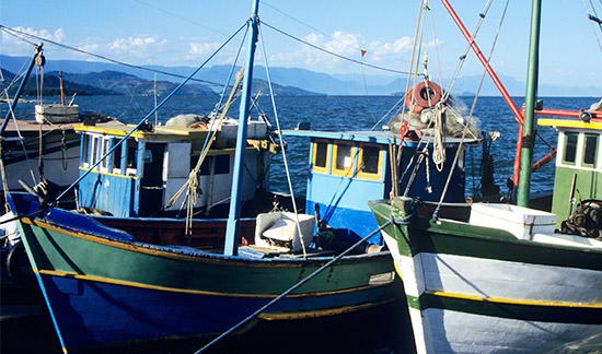 Você está visualizando atualmente Suspensa liminar que autorizava uso de embarcação pesqueira sem licença na Lagoa dos Patos (11/11/2021)