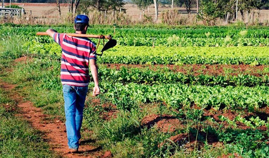 Você está visualizando atualmente TRF4 concede benefício a agricultor com degeneração na coluna e contraria laudo (02/12/2021)