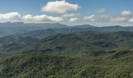 Você está visualizando atualmente Agropecuarista deve pagar multa de R$ 511 mil por desmatamento de vegetação de Mata Atlântica (24/02/2022)