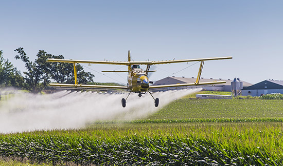 Você está visualizando atualmente Mantida suspensão de pulverização de agrotóxicos em propriedade rural de Nova Santa Rita (RS) (18/02/2022)