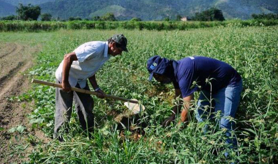 Você está visualizando atualmente Aluguel de imóvel urbano não impede aposentadoria rural (31/03/2022)