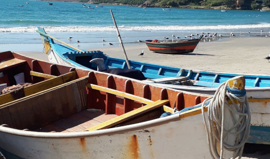 Você está visualizando atualmente TRF4 suspende pedido de provas a pescadores do Costão do Santinho (SC) (18/03/2022)