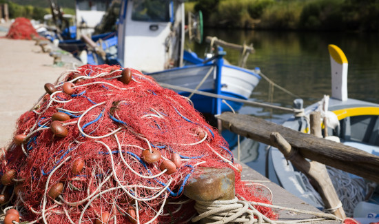 Você está visualizando atualmente União deve proibir pesca da tainha com redes de emalhe anilhado (04/03/2022)