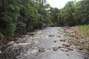 Leia mais sobre o artigo Mineradora terá que indenizar União em R$ 2 milhões por extração de areia e cascalho de rios de Morretes (05/06/2025)