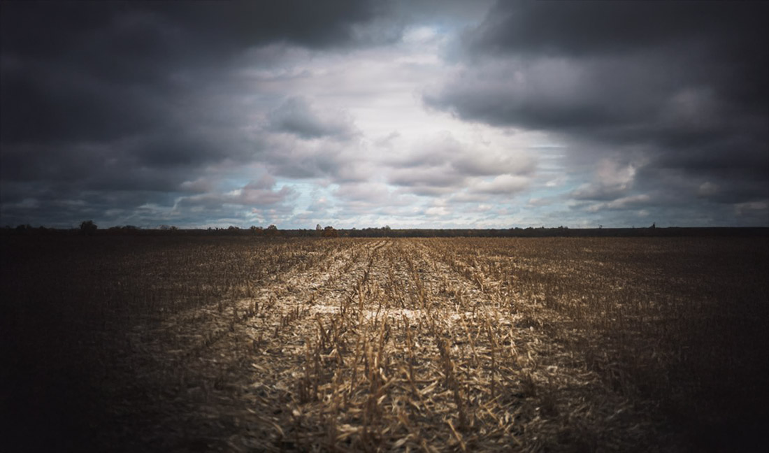 No momento, você está visualizando Bacen deverá pagar indenização securitária do Proagro para agricultora que teve prejuízos com as chuvas de 2023 (20/06/2025)