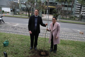 Leia mais sobre o artigo Adote uma Árvore: plantio de Ipê-Amarelo abre campanha de distribuição de mudas (03/07/2025)