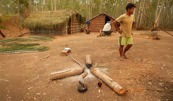 No momento, você está visualizando Liminar determina ações para viabilizar fornecimento de energia elétrica em aldeias indígenas de Canela (22/09/2025)