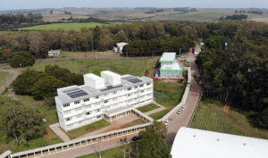 Leia mais sobre o artigo IF Farroupilha deverá emitir certidão de tempo de aluno aprendiz para ex-estudante (10/09/2025)