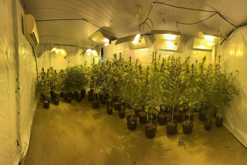 No momento, você está visualizando União obtém expropriação de imóvel utilizado no cultivo de droga (18/09/2025)
