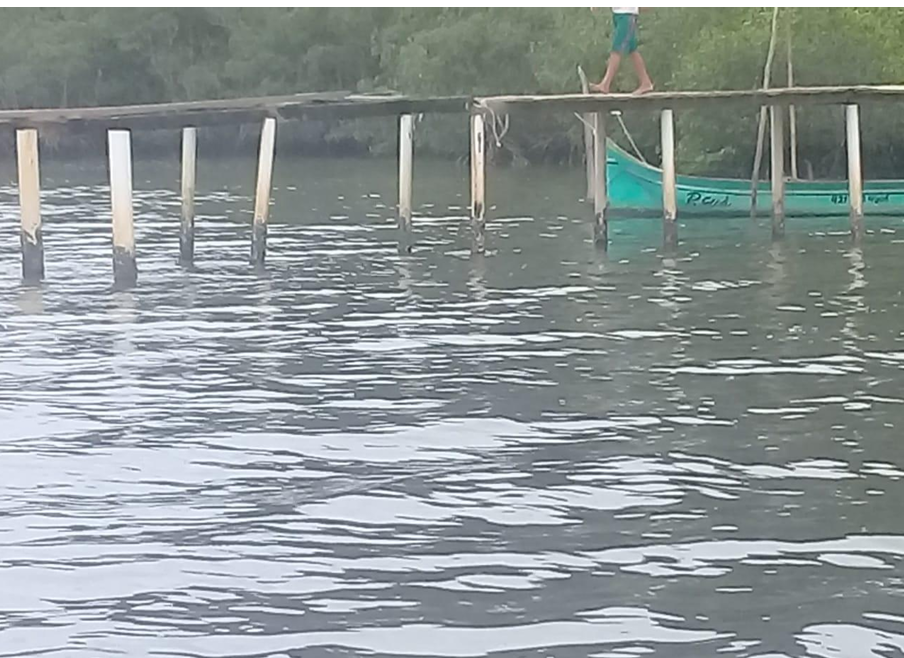 No momento, você está visualizando Justiça Federal condena Guaraqueçaba por descaso com trapiche irregular no Parque Nacional de Superagui (18/09/2025)