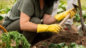 Leia mais sobre o artigo Justiça Federal obriga Incra a devolver título de terra para agricultora no Paraná (17/09/2025)
