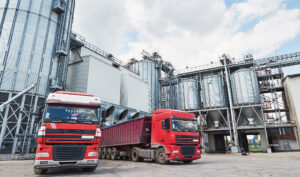 Leia mais sobre o artigo Três pessoas são condenadas por contrabando de farelo de soja (13/10/2025)