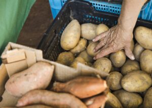 Leia mais sobre o artigo Julgamento com perspectiva de gênero garante aposentadoria por idade para trabalhadora rural (18/11/2025)