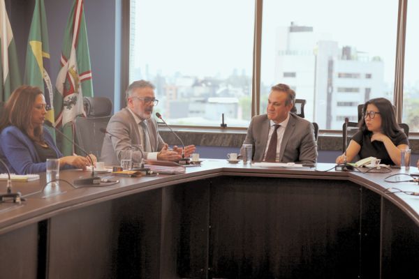 No momento, você está visualizando JF4R se reúne com PGE, Defesa Civil e demais órgãos para deliberar ações em apoio a Rio Bonito do Iguaçu (11/11/2025)