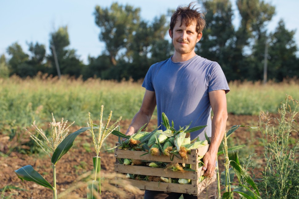 No momento, você está visualizando Incra deverá concluir, em 180 dias, processo de titulação de lote ocupado por um assentado do PA Rondinha (06/02/2026)