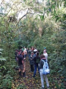 Leia mais sobre o artigo Vara Federal Ambiental fiscaliza aplicação de R$ 72 milhões em projetos de restauração da Mata Atlântica (28/05/2026)