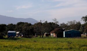 Leia mais sobre o artigo Funai e União são condenadas a iniciar estudos para demarcação de terra indígena em Sertão (26/08/2026)